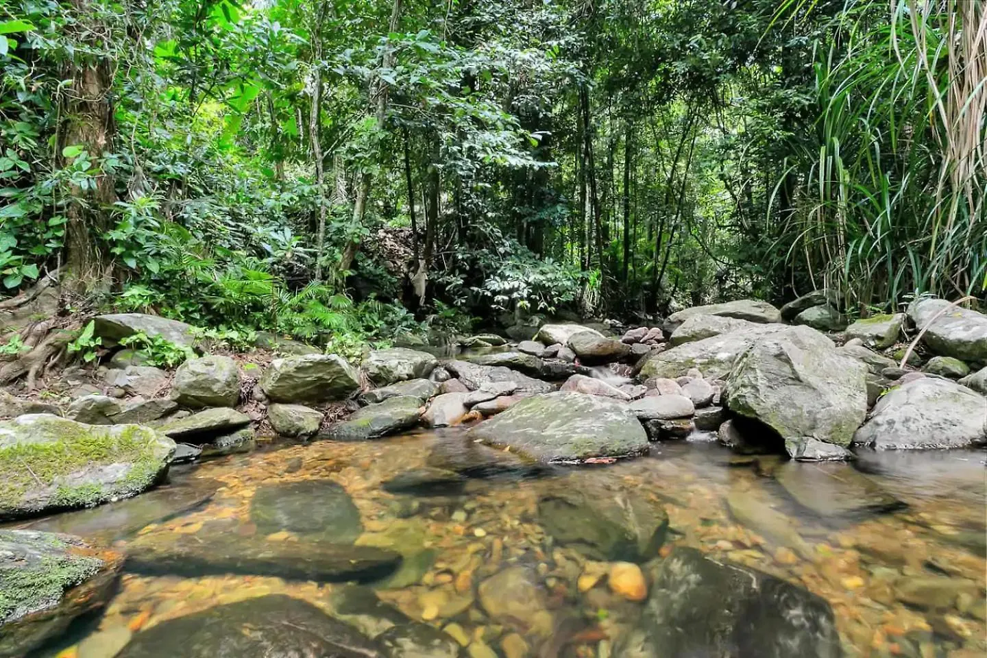Apartman Hideaway Treehouse - A Secluded Rainforest Retreat Bayview Heights Ausztrália