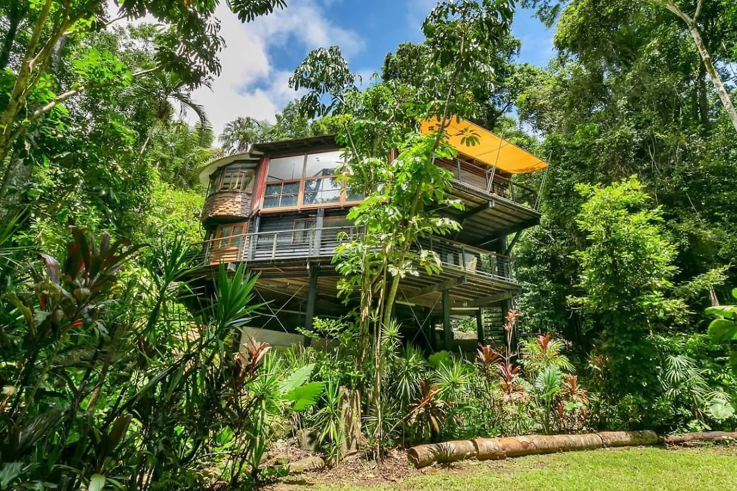 Apartment Hideaway Treehouse - A Secluded Rainforest Retreat Bayview Heights